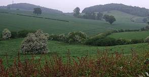 Staffordshire UK