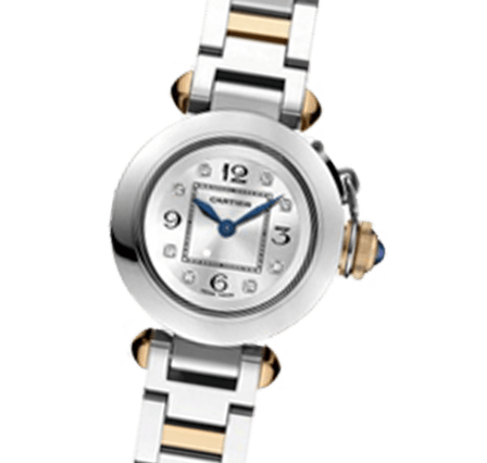 Sell Your Cartier Pasha WJ124020 Watches