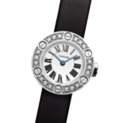 Buy or Sell Cartier Love WE800331