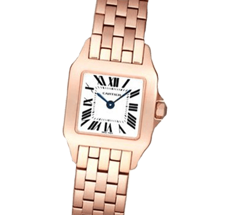 Buy or Sell Cartier Santos Demoiselle W25073X9