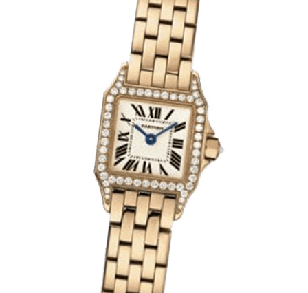 Pre Owned Cartier Santos Demoiselle WF9011Z8 Watch