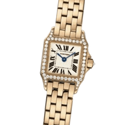 Buy or Sell Cartier Santos Demoiselle WF9011Z8