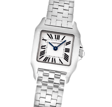 Buy or Sell Cartier Santos Demoiselle W25064Z5