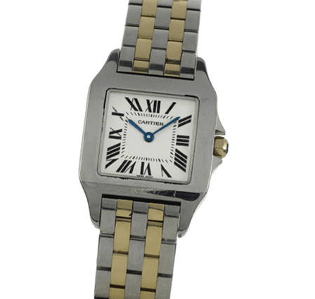 Buy or Sell Cartier Santos Demoiselle W25066Z6