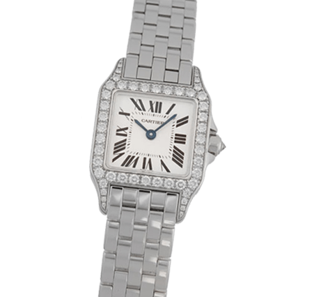 Buy or Sell Cartier Santos Demoiselle WF9003Y8