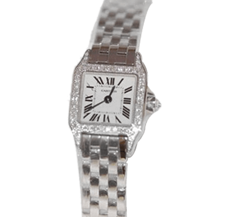 Buy or Sell Cartier Santos Demoiselle WF9005Y8