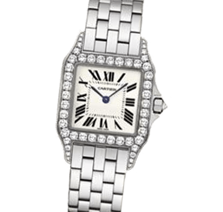 Sell Your Cartier Santos Demoiselle WF9004Y8 Watches