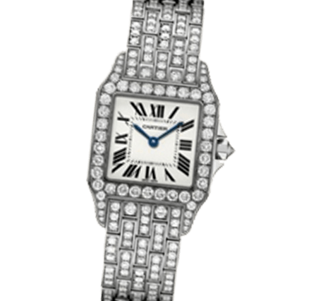 Pre Owned Cartier Santos Demoiselle WF9010YA Watch