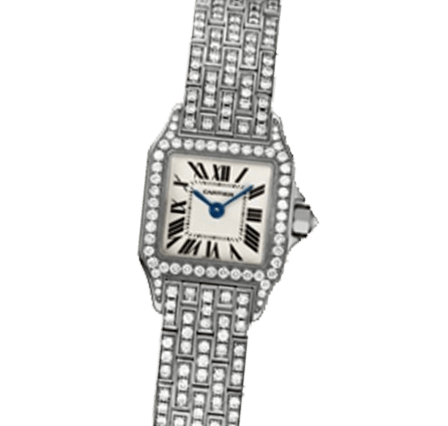 Pre Owned Cartier Santos Demoiselle WF9005YA Watch