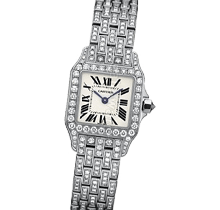 Buy or Sell Cartier Santos Demoiselle WF9003YA