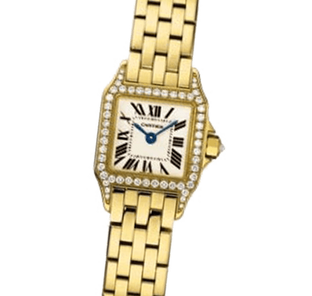 Pre Owned Cartier Santos Demoiselle WF9006Y7 Watch