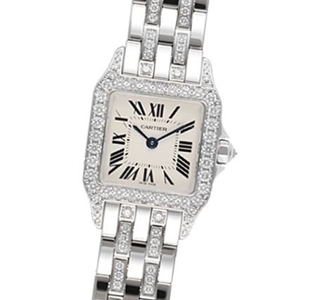 Buy or Sell Cartier Santos Demoiselle WF9003YC