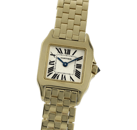 Buy or Sell Cartier Santos Demoiselle W25077X9