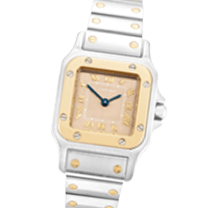 Cartier Santos 1057930 Watches for sale