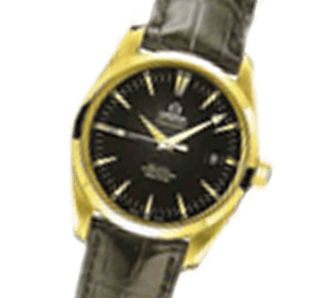 OMEGA Aqua Terra 150m Gents 2602.50.31 Watches for sale