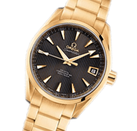 Buy or Sell OMEGA Aqua Terra 150m Gents 231.50.39.21.06.002