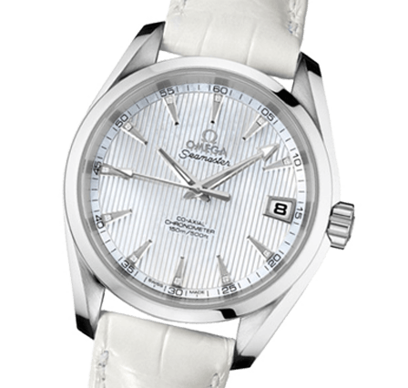 Buy or Sell OMEGA Aqua Terra 150m Gents 231.13.39.21.55.001